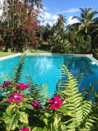 حديقة, Te Mana Lodge in أفاهيتي