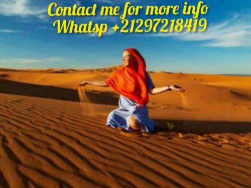 Desert Paradise Luxury Camp