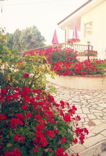  B&B Villa Lena in Turi