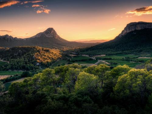 Le Castellas du Pic St Loup