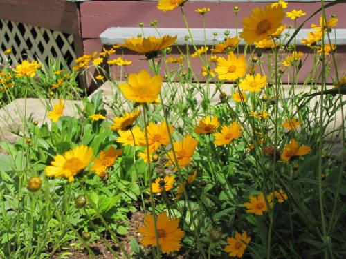 5 Ojo Inn Bed and Breakfast 5 Ojo Inn Bed and Breakfast