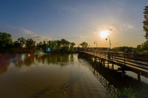 Solankowe Zacisze Botanica Inowrocław Solankowe Zacisze Botanica Inowrocław