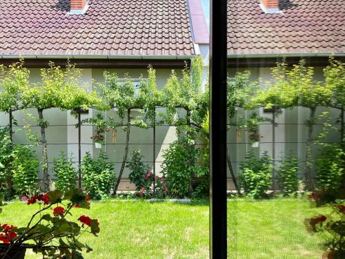 Garden, Orosz Apartmanhaz Gyula in Gyula