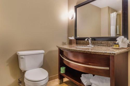 Best Western Plus Hotel and Suites Denison - image 14