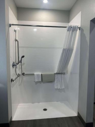 King Room with Mobility Accessible Roll-In Shower