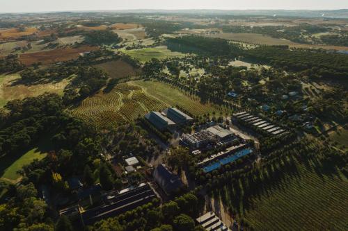 CABN X Seppeltsfield Barossa