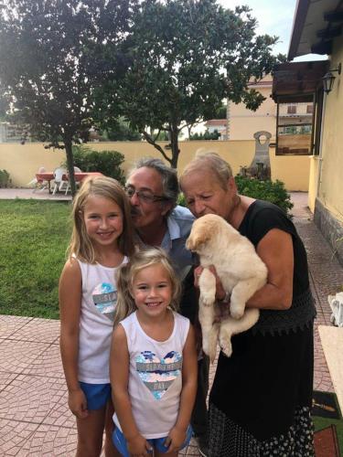 Luana Inn Holiday - image 14
