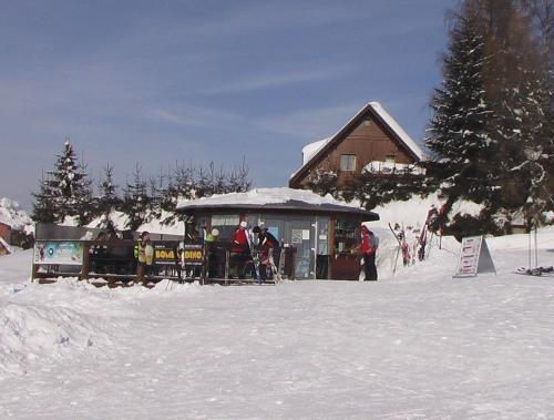 pension Jesen - image 11