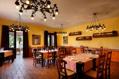 Grand Palladium Palace Ibiza Resort & Spa- All Inclusive - image 4