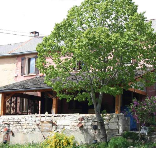 Gîte à la ferme dans les Gorges du Tarn - Location saisonnière - Ispagnac