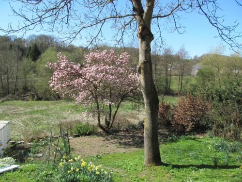 Les Chèvrefeuilles gîte à louer Fraire