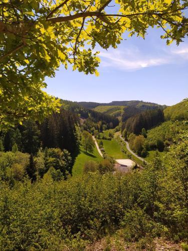 Ferienwohnung Sauerland Burgfenster