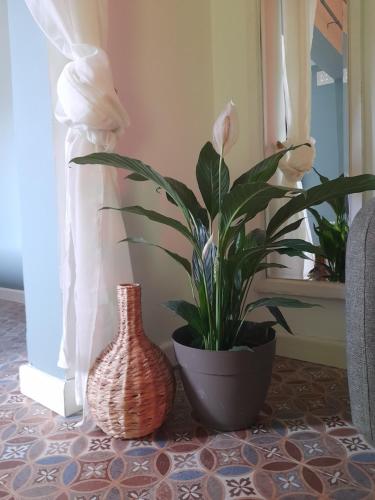 Boho Rooms Sliema — Main Photo