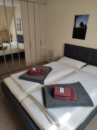 Ferienappartement Potthoff 2 -Hund willkommen- - Apartment - Altenau