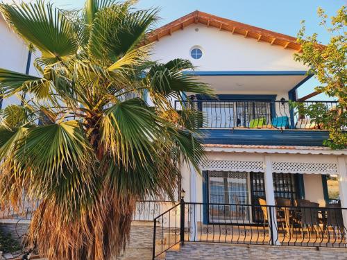 Beautiful villa at 1 meter from sea. (Rent CGvilla 2020-80)