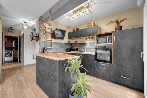 L'Hippocrate - Charmant appartement avec terrasse, Toulouse (fotografie 2)