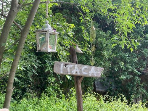 Little Itaca