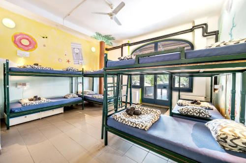 Island Hostel Budapest, Budapeszt (zdjęcie 8)