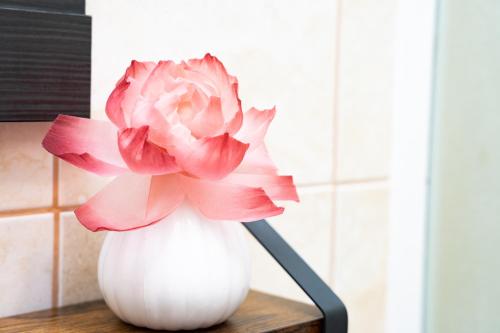 Hotel Arko - image 3