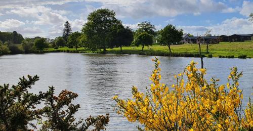 Domaine de la Héchaie - image 2