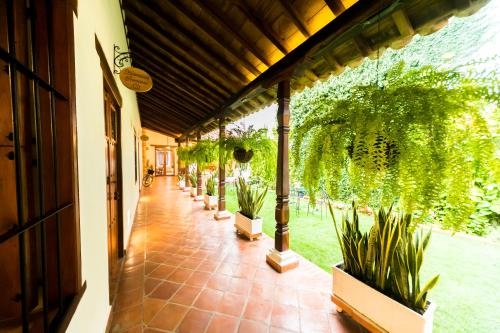 ทัศนียภาพภายนอกโรงแรม, Bohemia Hotel Boutique in มองโปส