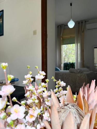 Wine Black Fronte Mare IUN R2882