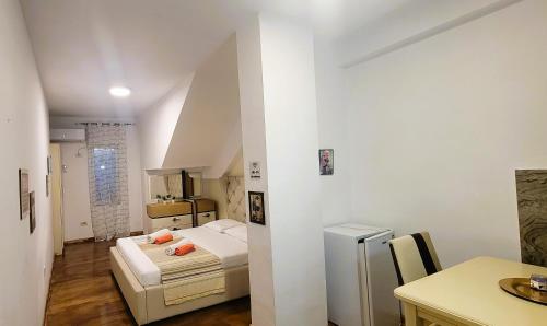 Studenti Studio's, Tirana (foto 7)