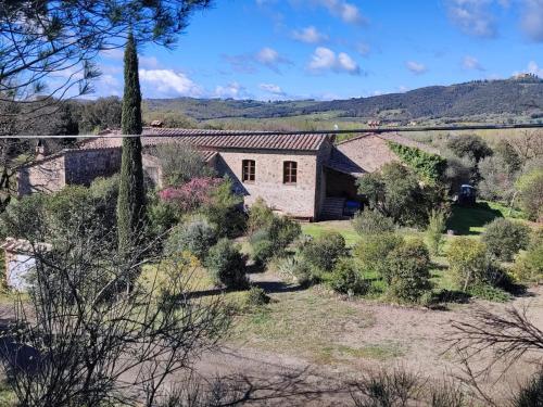  Domus Vitae - Appartamento Dragone in Montalcino