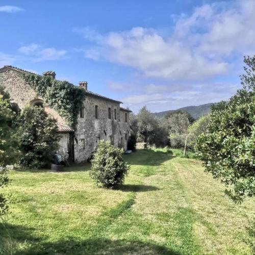  Domus Vitae - La Loggia in Montalcino