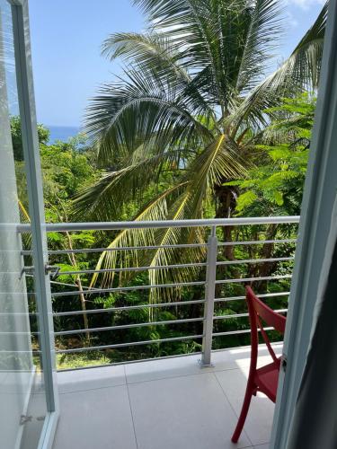 Red Flamboyan Guesthouse and Restaurant in Rincon