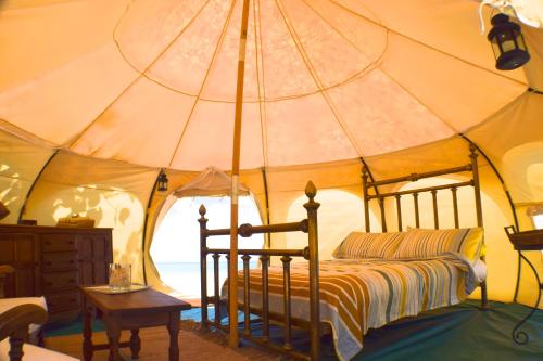 Wild Lotus Glamping Bequia in Bequia