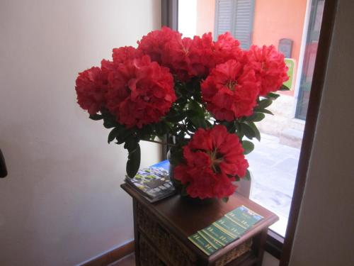 Bed & Breakfast Hostel H24, Raguse (photo 7)