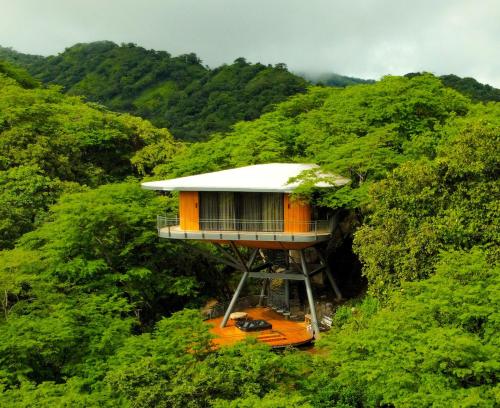 471166306 Suitree Experience Hotel