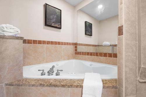 Wonderland Cove Wonderland Cove