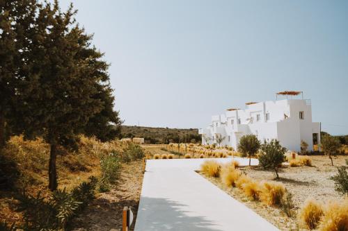 Saint Nicholas Houses - Accommodation - Kefalos