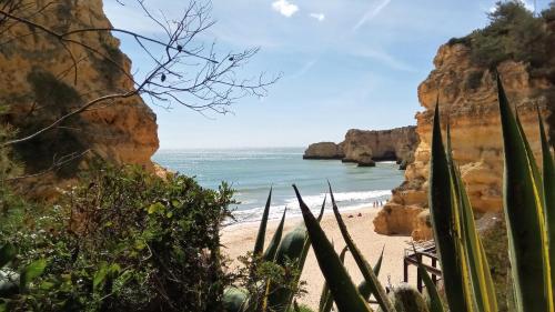 Albufeira Traditional Apartments IN VILLA 2