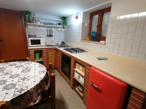 Cassiopea, Gaeta (foto 10)