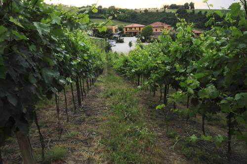 Agriturismo Gaggioli Borgo Delle Vigne