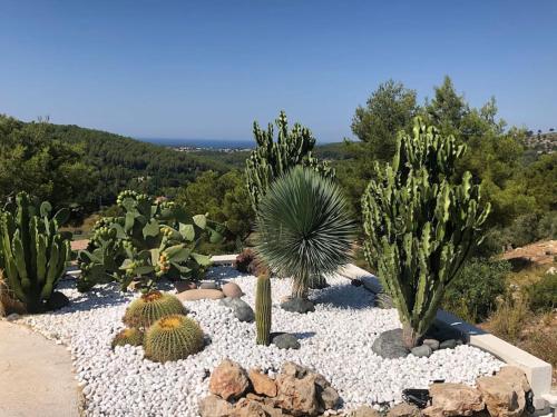 Villa Contemporaine vue mer-vignobles,Piscine-Spa