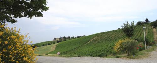 Agriturismo Gaggioli Borgo Delle Vigne