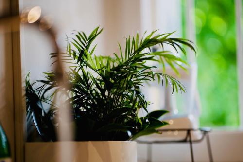 PLANT HOUSE Roma Eur, Řím (fotografie 7)
