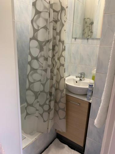 Studio renovated in the heart of Paris