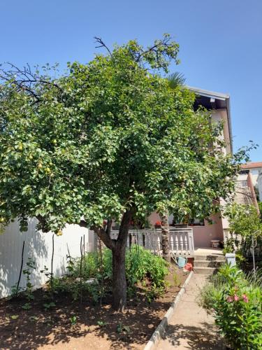 Apartman Avdić - image 12
