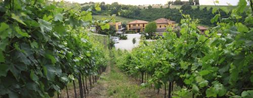 Agriturismo Gaggioli Borgo Delle Vigne