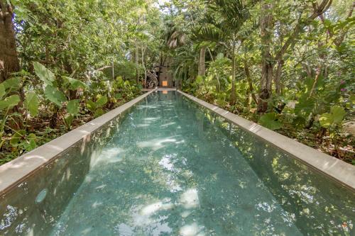 Zwembad, Hacienda Shambalante in Guadalupe