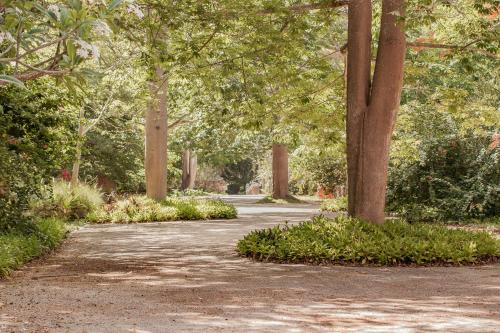 Hacienda Shambalante Hacienda Shambalante