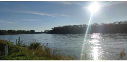 Urlaub am Rhein