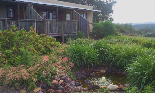 protea wilds retreat