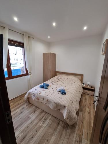 L'Oasis Moderne 2