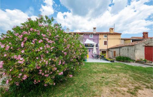 Gorgeous Home In Cokuni With Kitchen